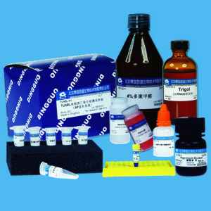 鼎国自产 乙酸钠缓冲液（pH=5.2）RNase free 0.5M